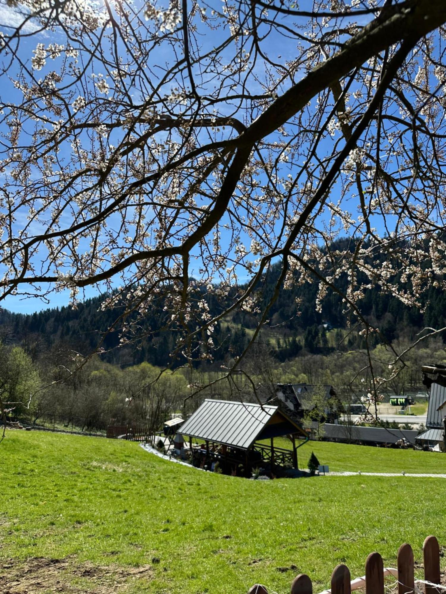 Willa Aurinia Szczawnica Exterior foto